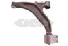 SPIDAN 57822 Track Control Arm